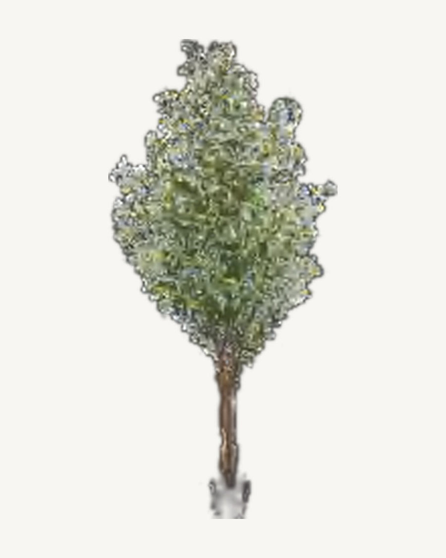 Sanremo Artificial Olive Tree, full product studio view in the included nursery pot