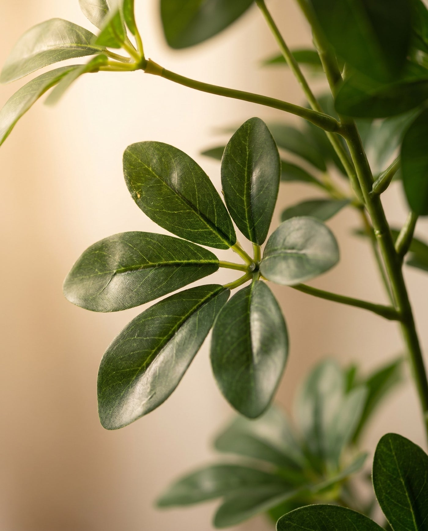 Maison Moya - Schefflera Umbrella Faux Tree - 03 closeup-top