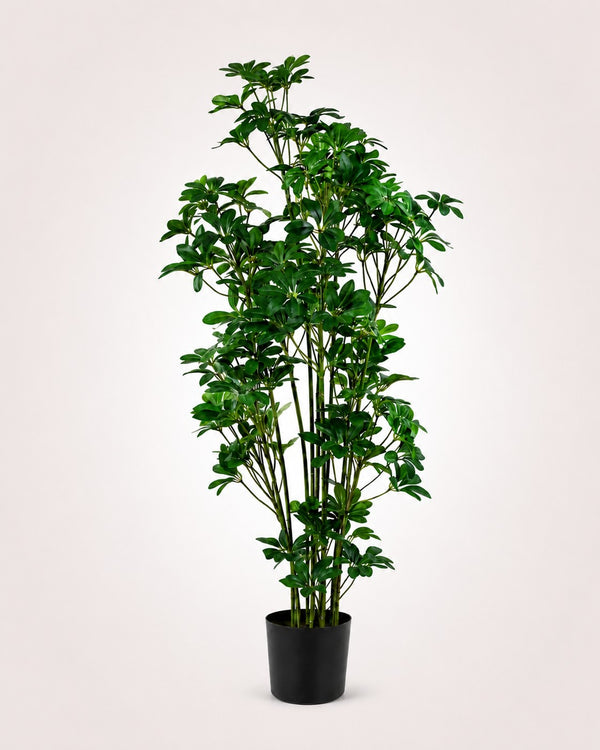 Schefflera Árbol artificial