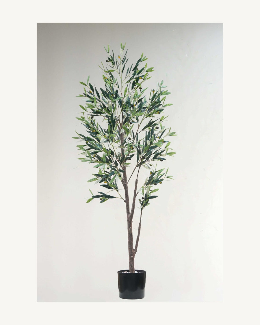 Sienna Artificial Olive Tree, 66.9 in
