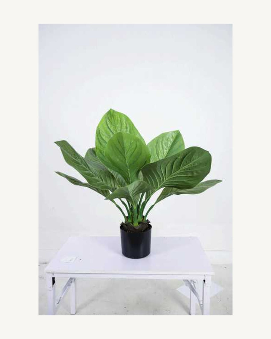 Taormina Artificial Tropical Plant, full product studio view in the included nursery pot