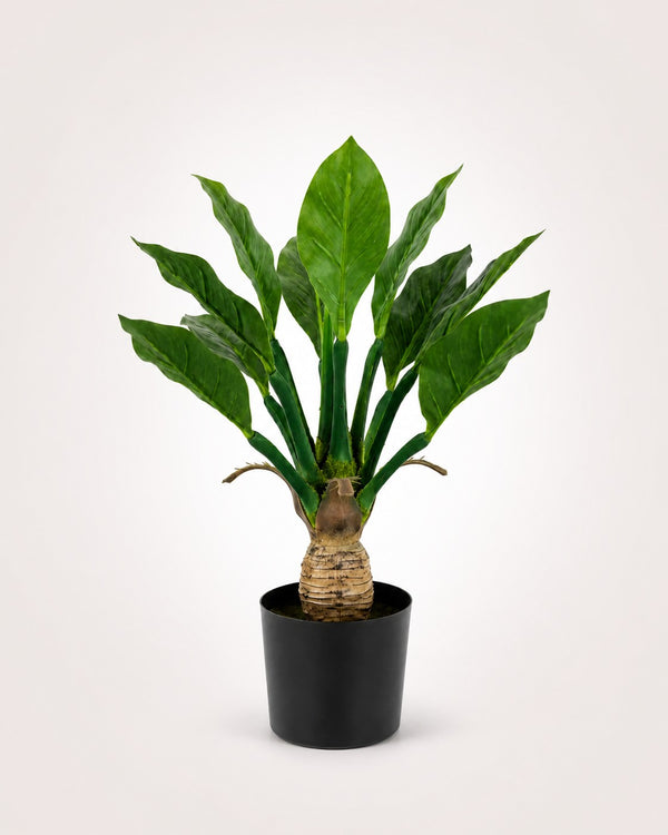 Planta tropical Planta artificial