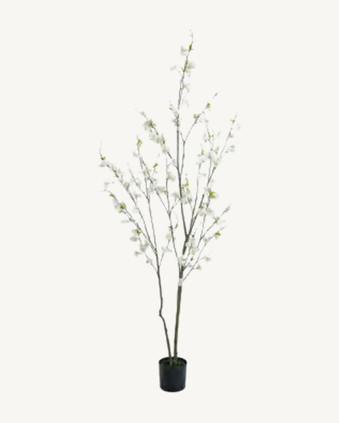 Volterra Artificial Blossom Tree, Ivory, full product studio view in the included nursery pot
