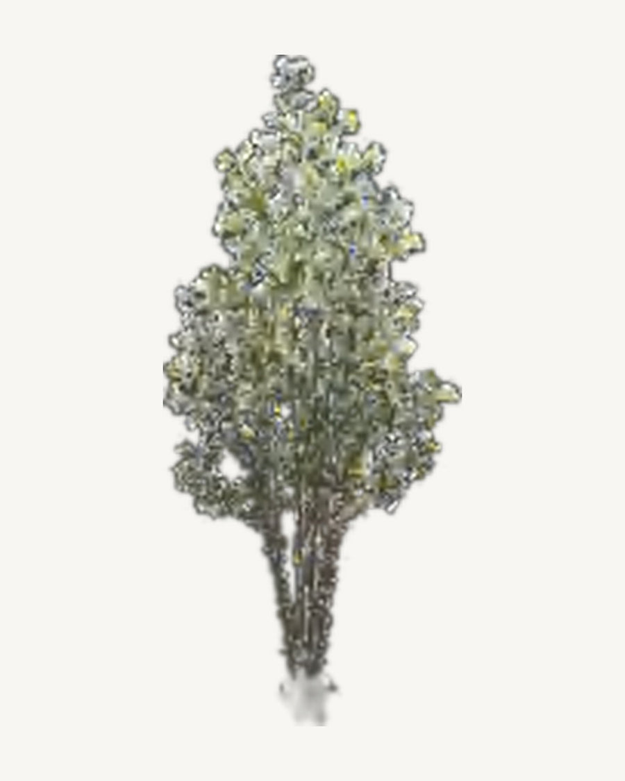 Volterra Artificial Olive Tree, full product studio view in the included nursery pot