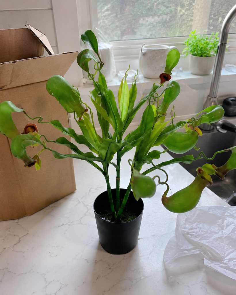 Cica Planta artificial customer photo