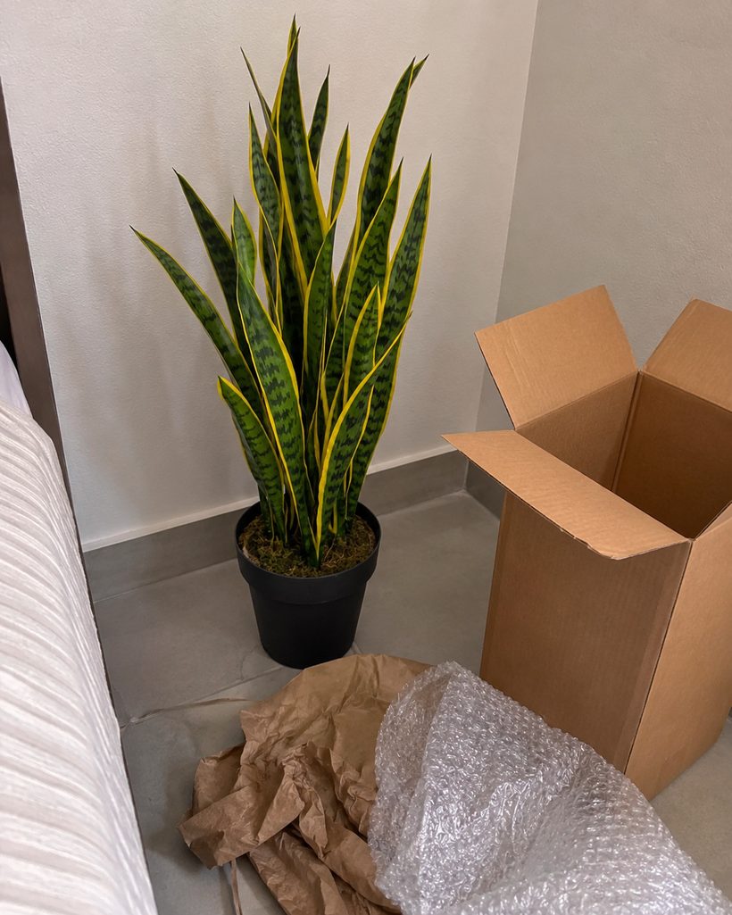 Cica Planta artificial customer photo