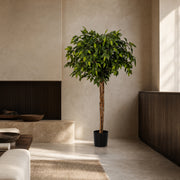 Arbre artificiel Ficus