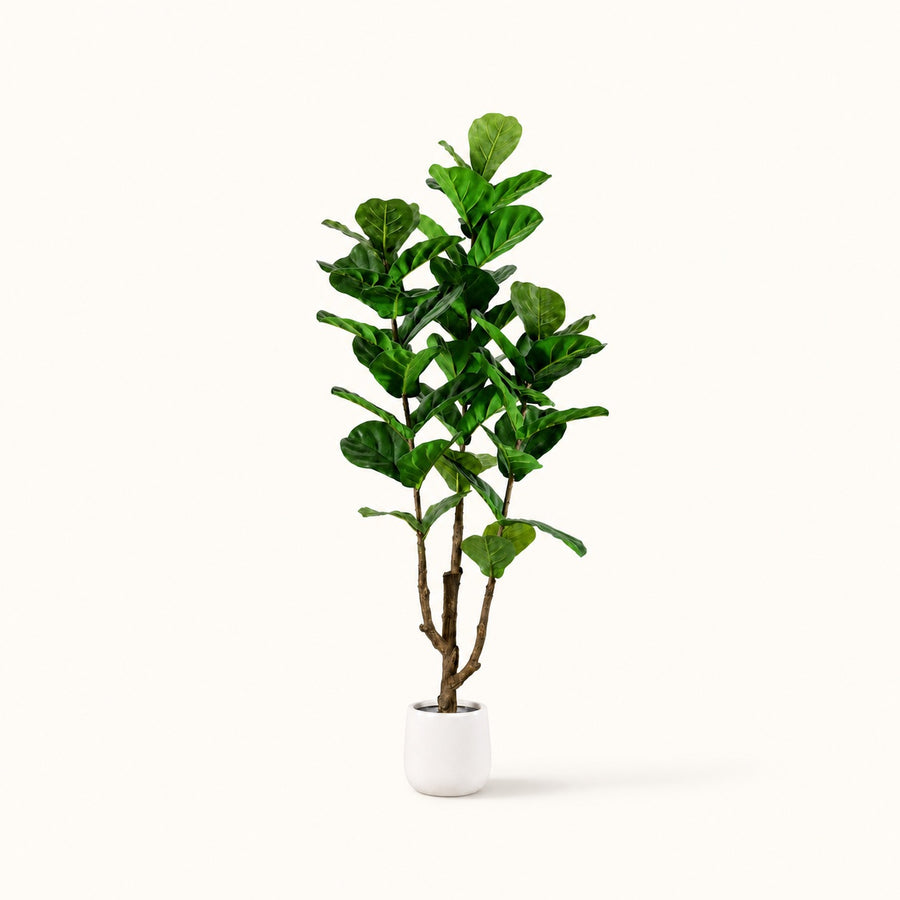 Arbre artificiel Ficus Lyrata