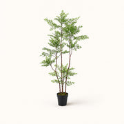Plante artificielle Nandina