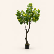 Osmanthus Arbre artificiel