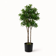 Plante artificielle Pieris Japonica