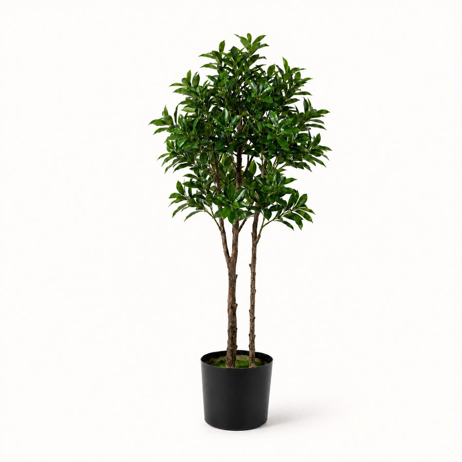 Plante artificielle Pieris Japonica