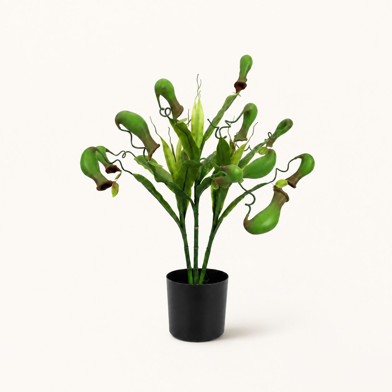 Plante artificielle Népenthès