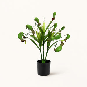 Plante artificielle Népenthès