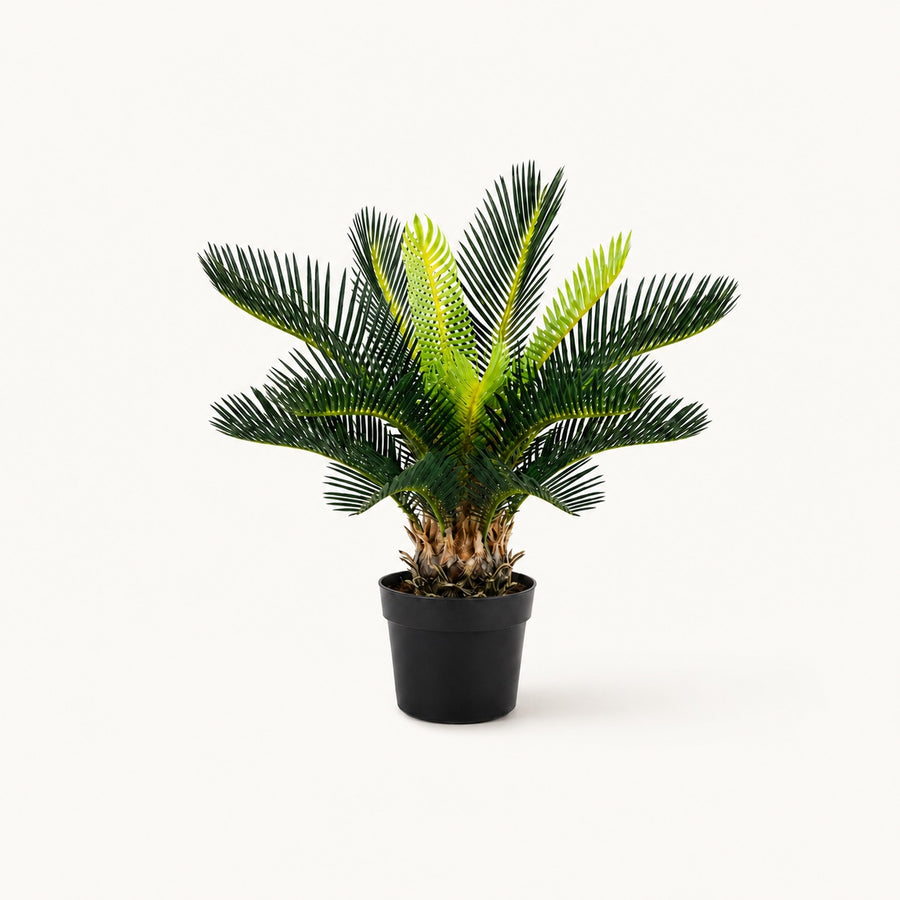 Plante artificielle Cycas du Japon