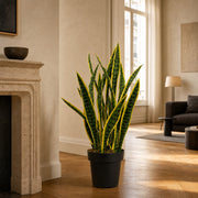 Plante artificielle Sansevière