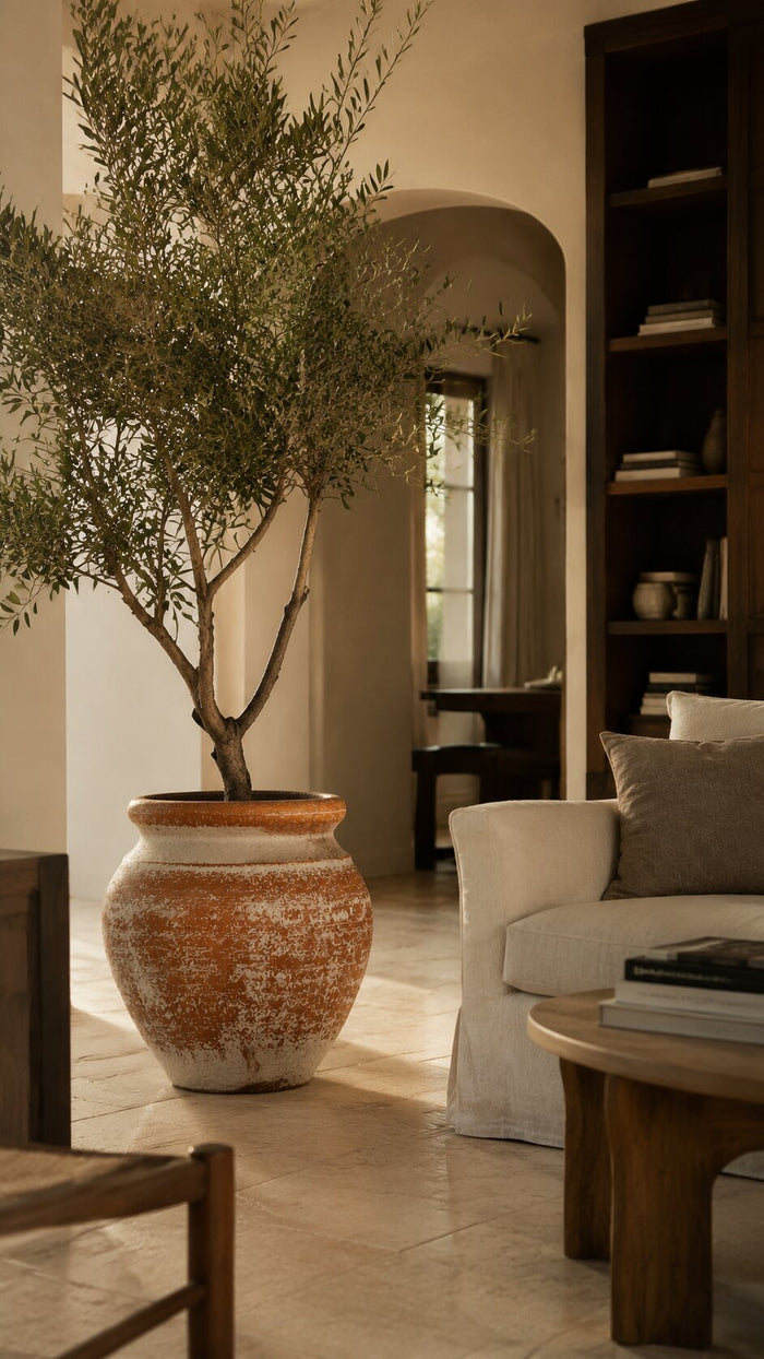Dans de vrais intérieurs — Planters & Pots