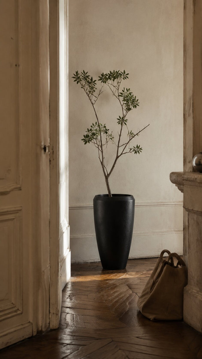 Dans de vrais intérieurs — Planters & Pots